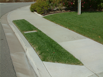 Narrow Lawn